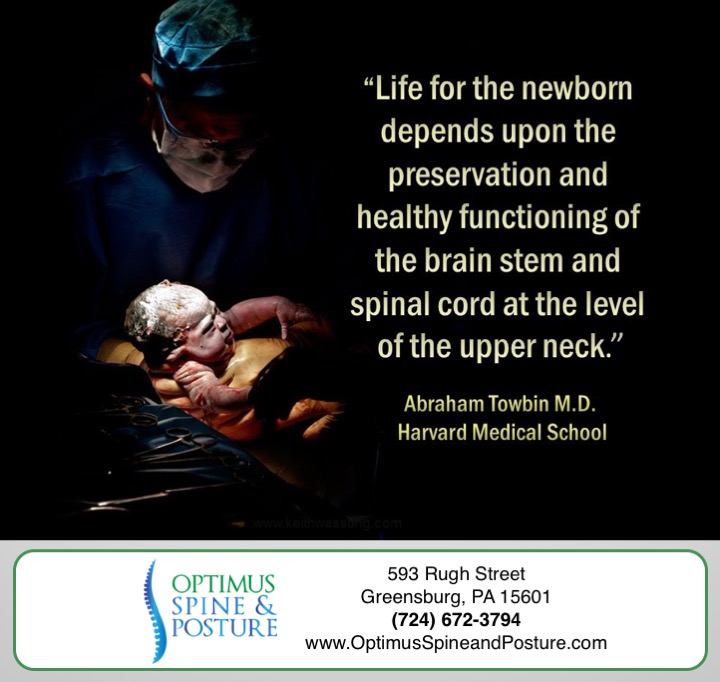 chiropractic care and children